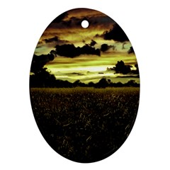 Dark Meadow Landscape  Oval Ornament (Two Sides) from ZippyPress Front